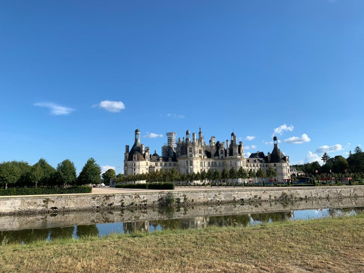 Villa Au Coeur Des Chateaux Chambon-sur-Cisse Exterior foto