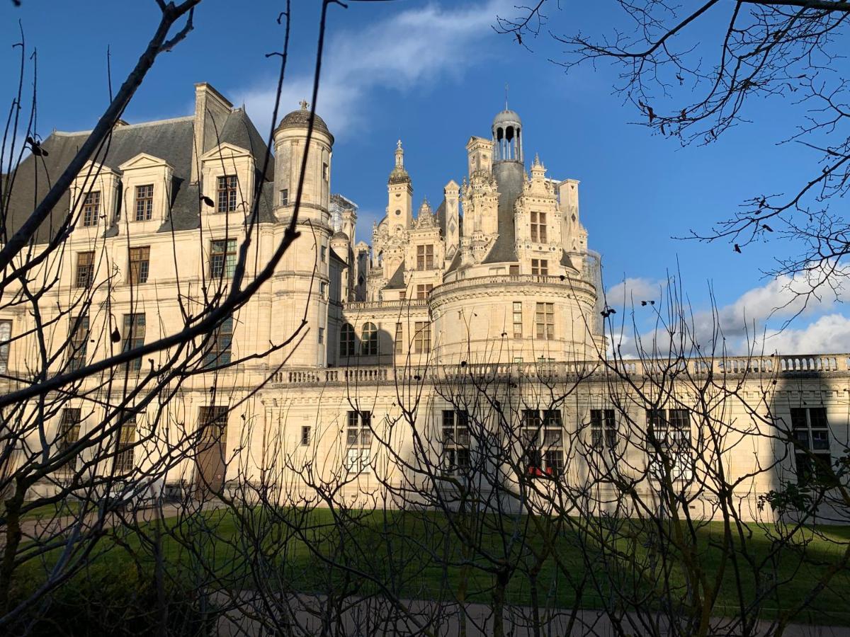 Au Coeur Des Chateaux Chambon-sur-Cisse Exterior foto