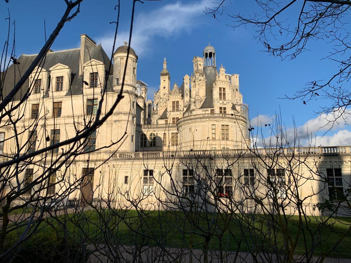 Villa Au Coeur Des Chateaux Chambon-sur-Cisse Exterior foto