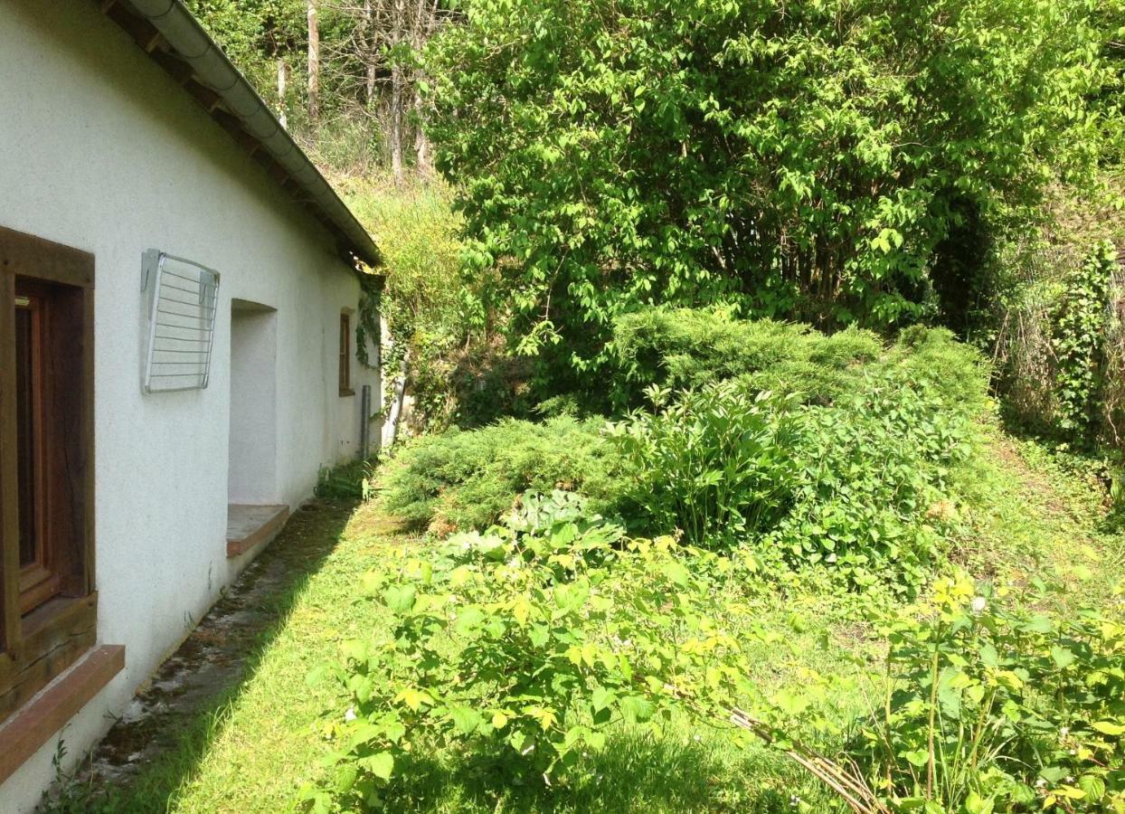 Au Coeur Des Chateaux Chambon-sur-Cisse Exterior foto